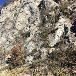 pareti rocciose nella località Rocca di Roffeno