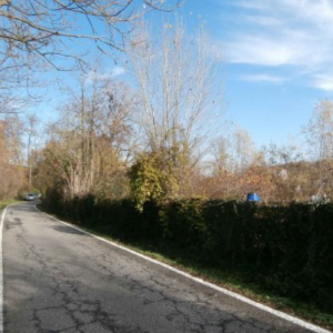 Paleotto